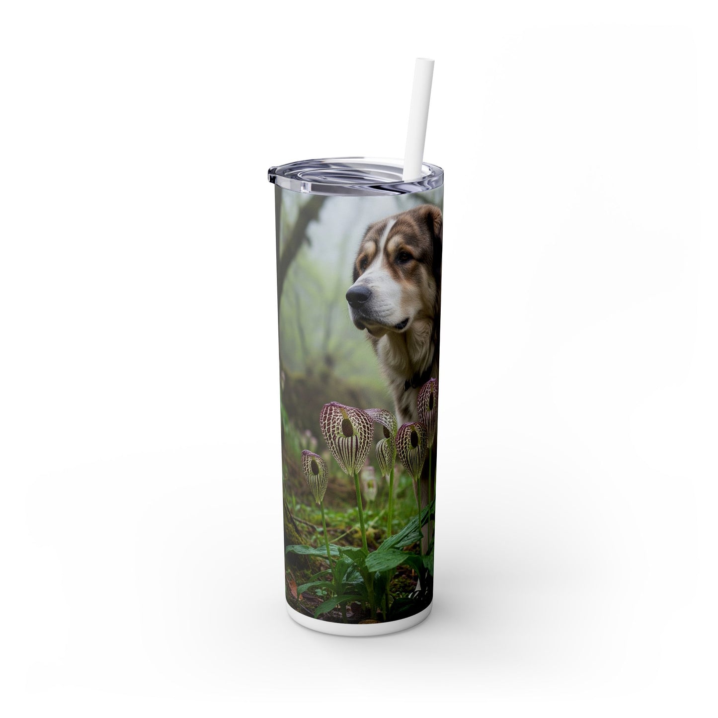 Bakharwal Tumbler with Straw, 20oz
