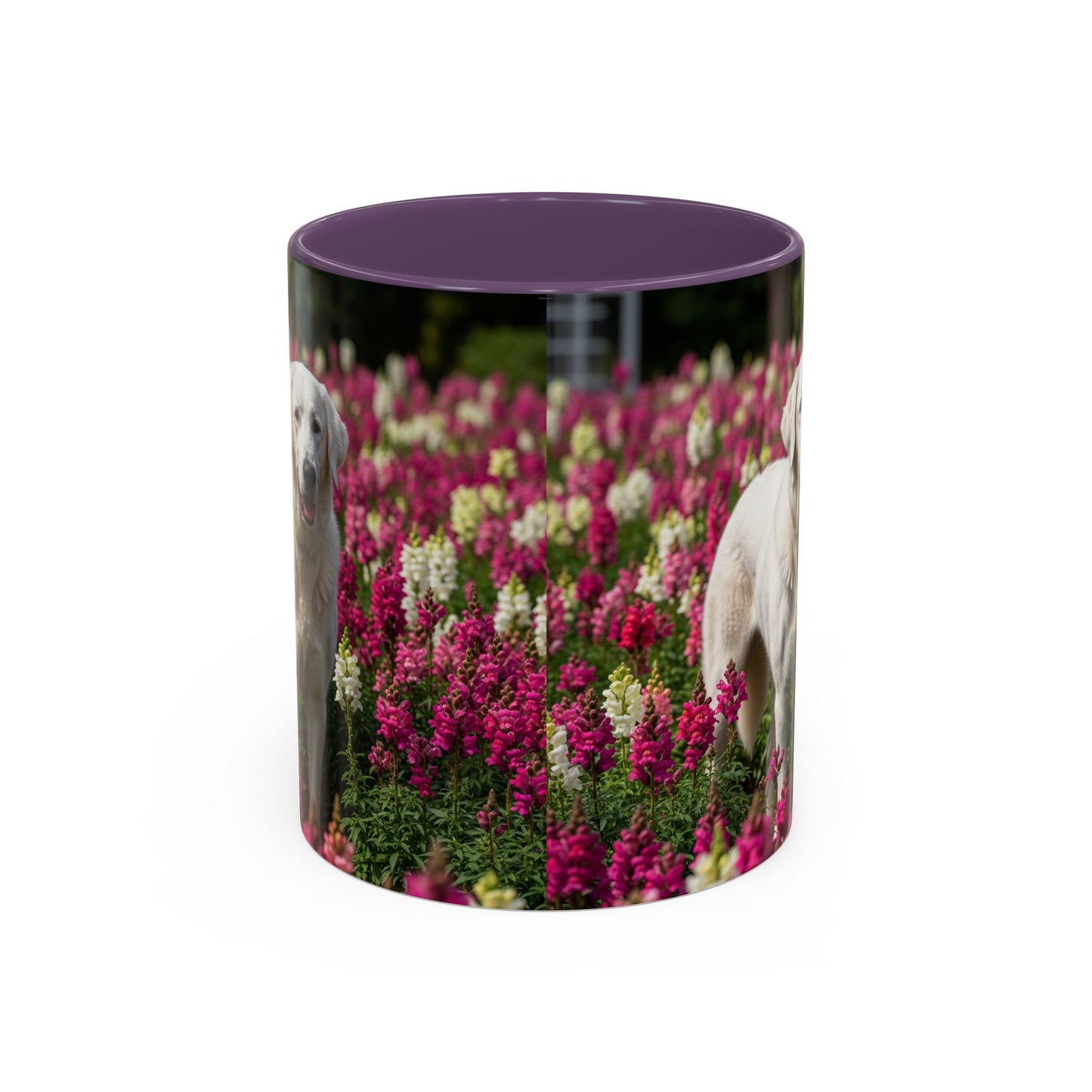 Estrela Mountain Dog Accent Coffee Mug - Perfect Gift for Dog Lovers