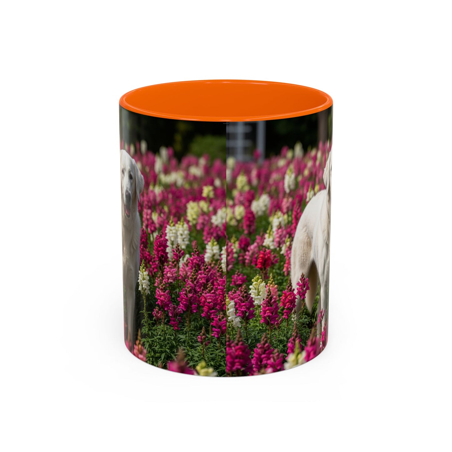 Estrela Mountain Dog Accent Coffee Mug - Perfect Gift for Dog Lovers