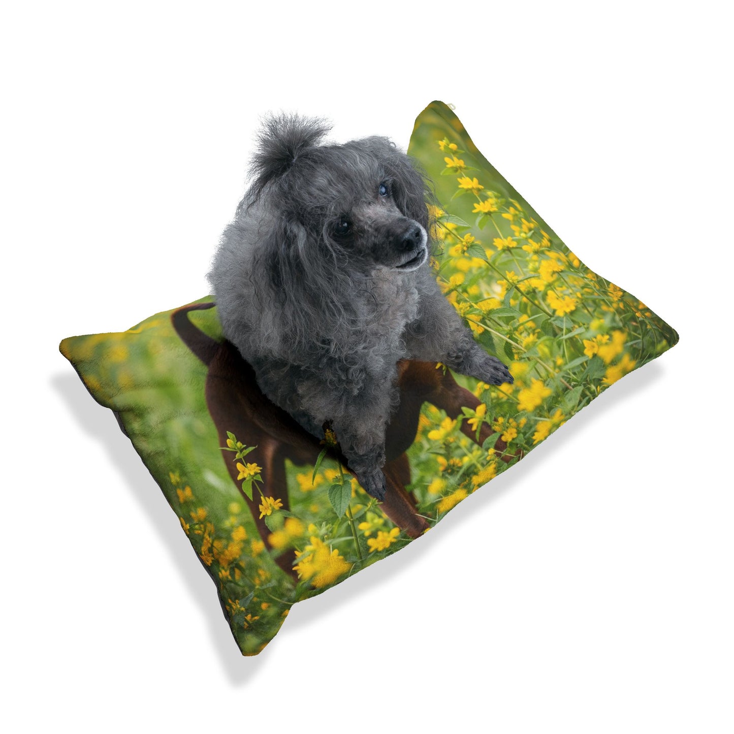 German Pinscher Pet Bed