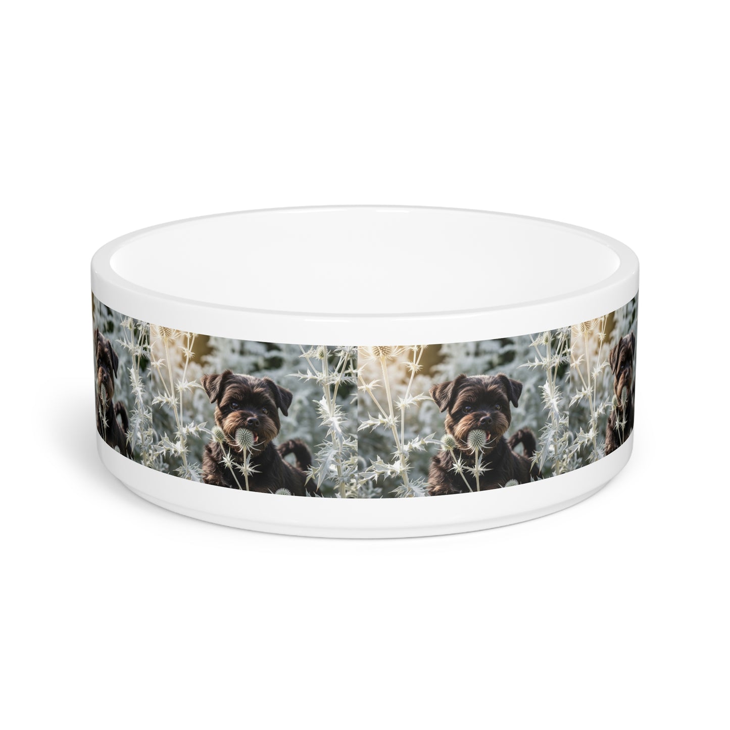 Affenpinscher Pet Bowl