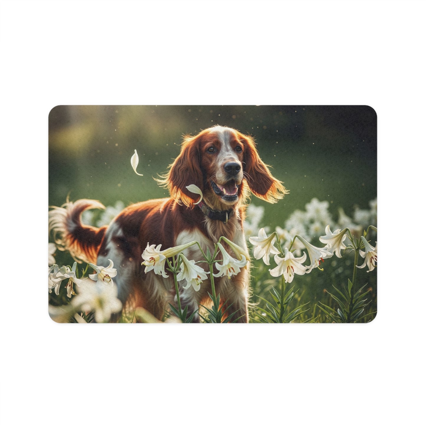 Pet Food Mat (12x18) - Irish Red and White Setter