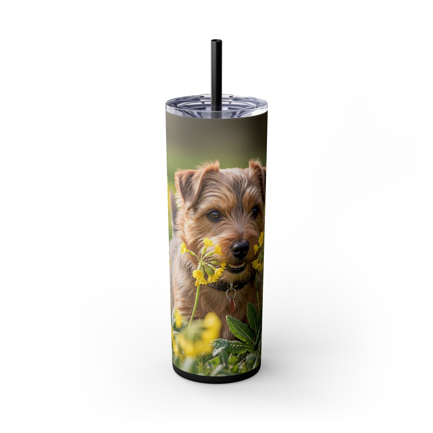 Norfolk Terrier Skinny Tumbler with Straw, 20oz