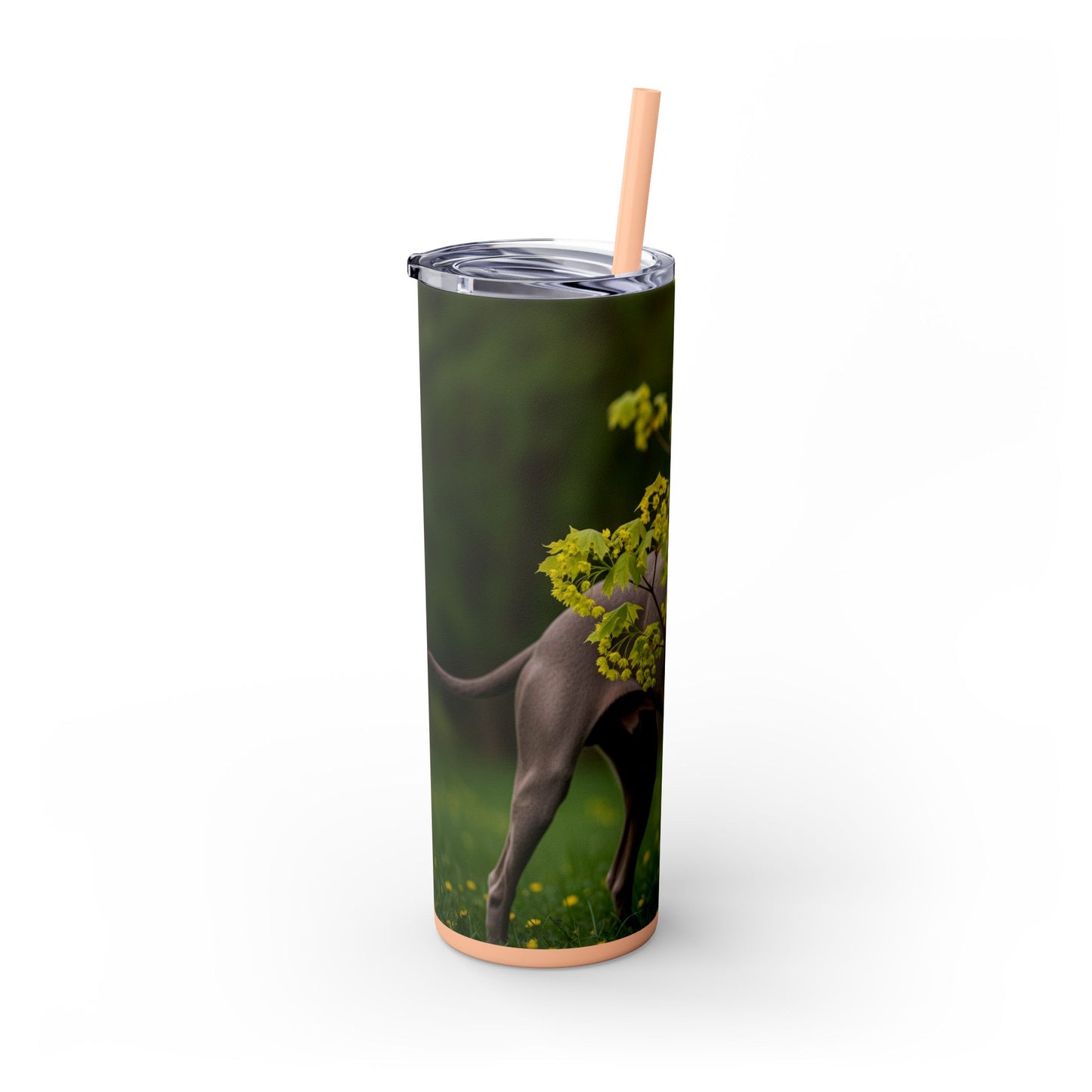 Weimaraner Skinny Tumbler with Straw, 20oz