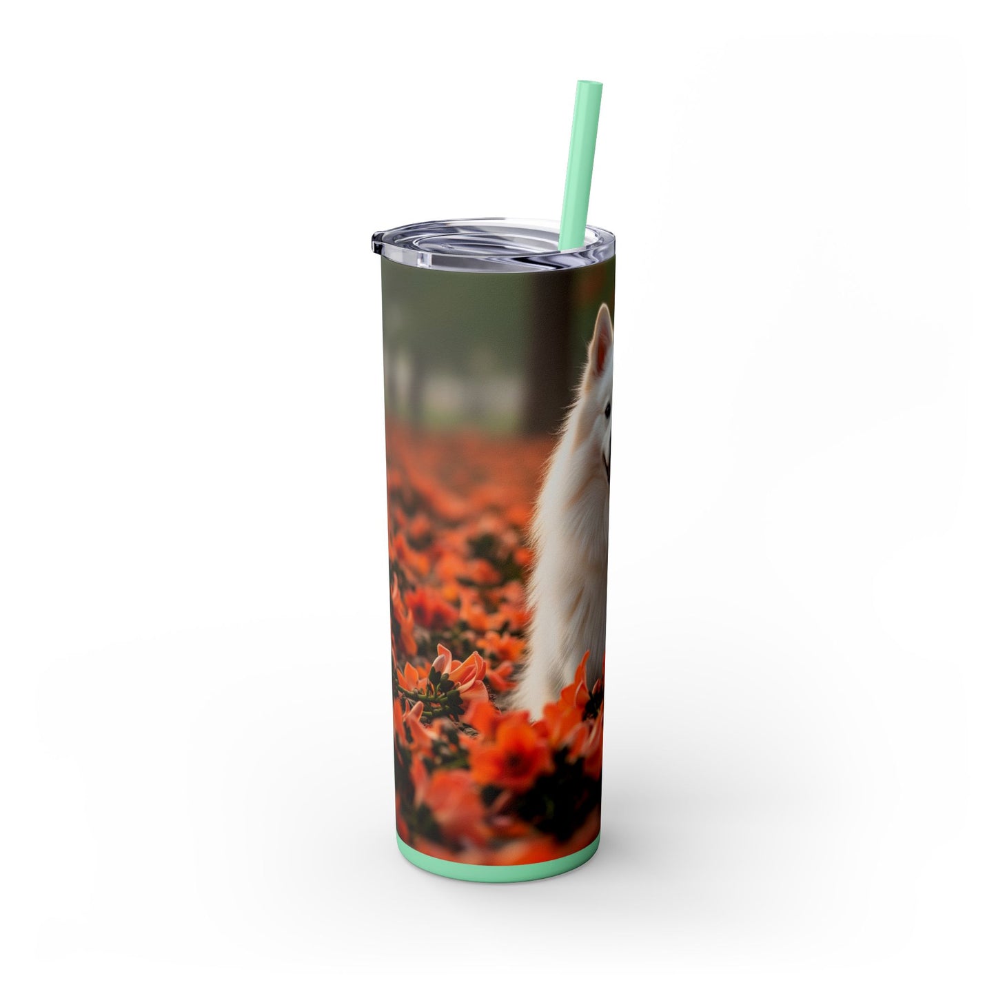 Indian Spitz Tumbler with Straw, 20oz