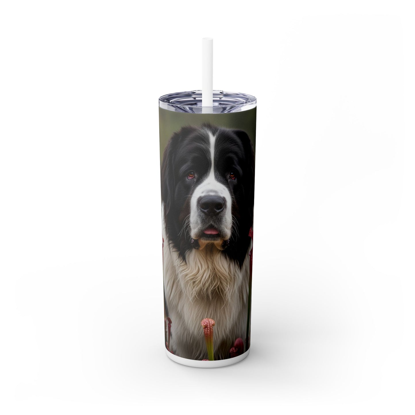 Landseer Tumbler with Straw, 20oz