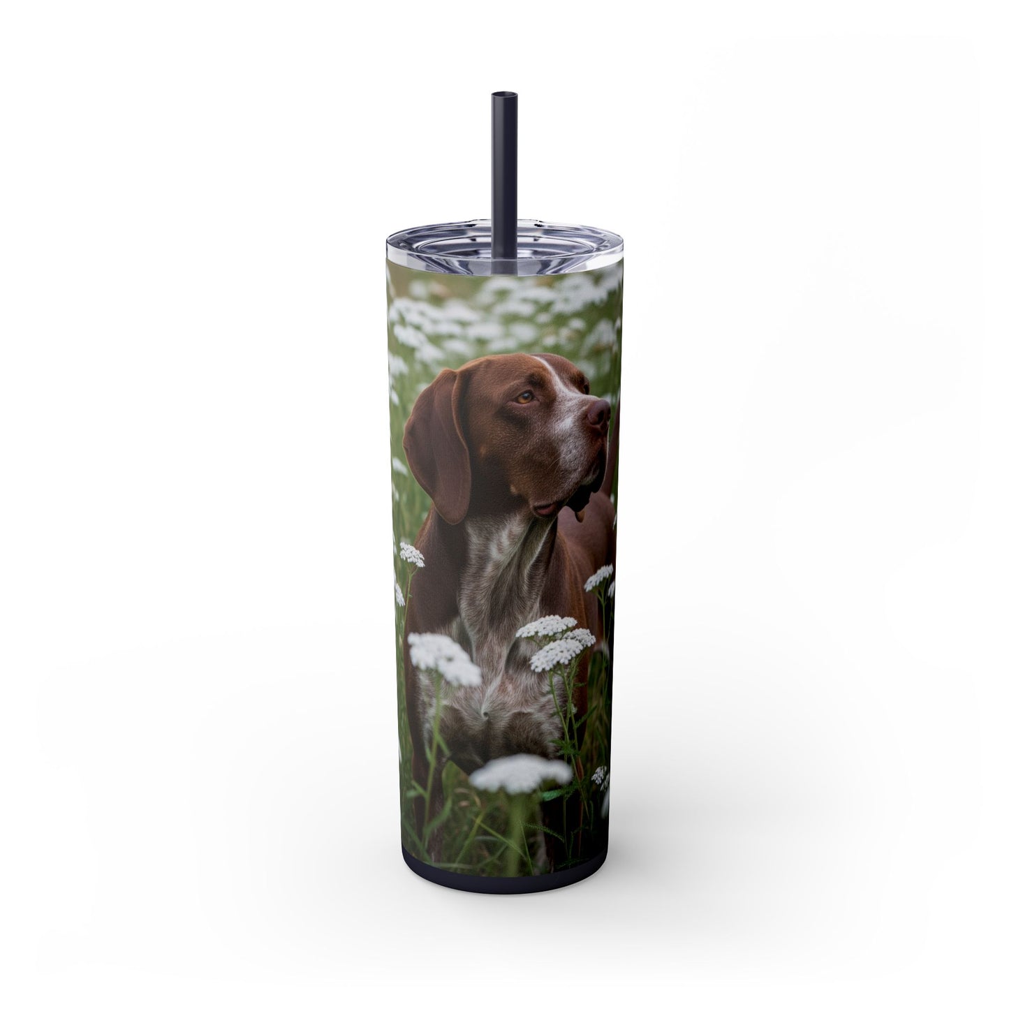 Braque du Bourbonnais Tumbler with Straw, 20oz