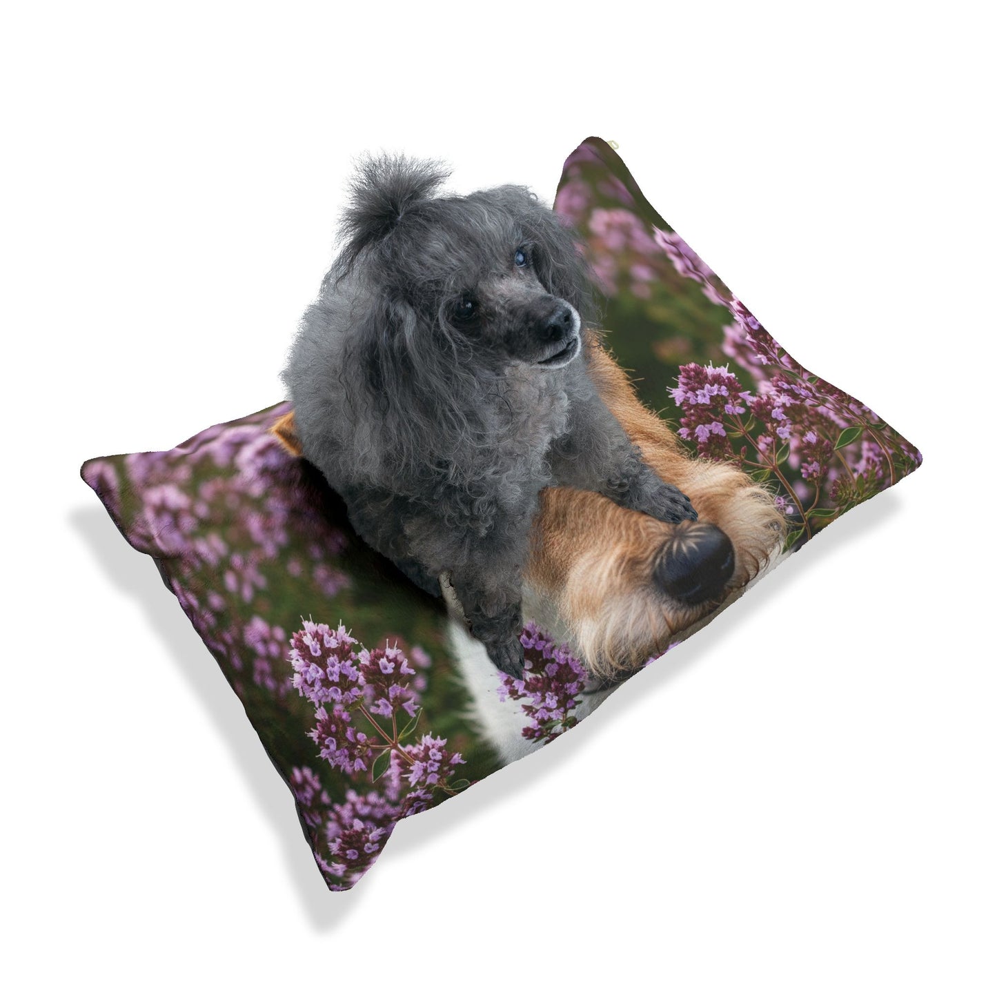 Fox Terrier Pet Bed