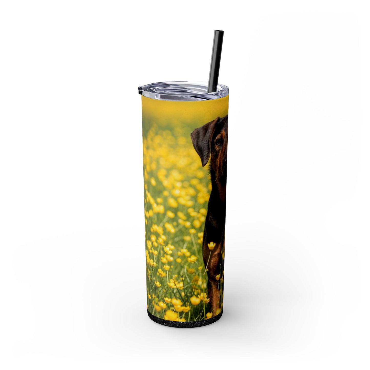 Drever Tumbler with Straw, 20oz