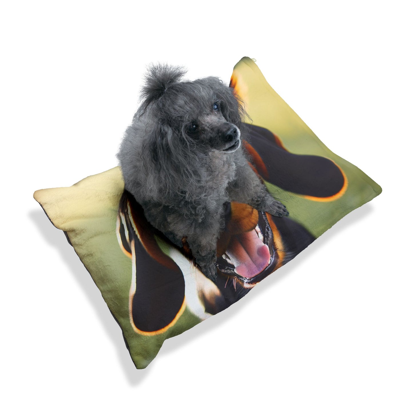 Black and Tan Coonhound Pet Bed