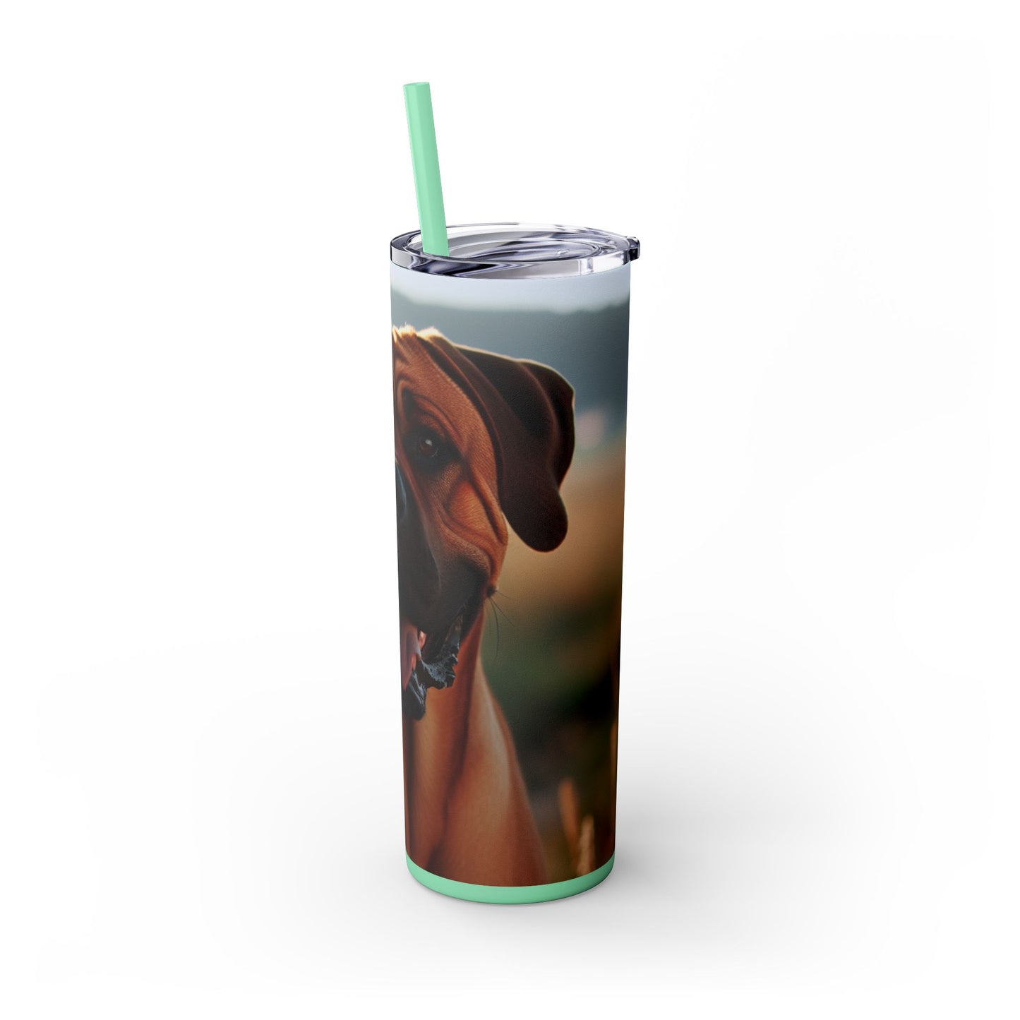 Broholmer Tumbler with Straw, 20oz