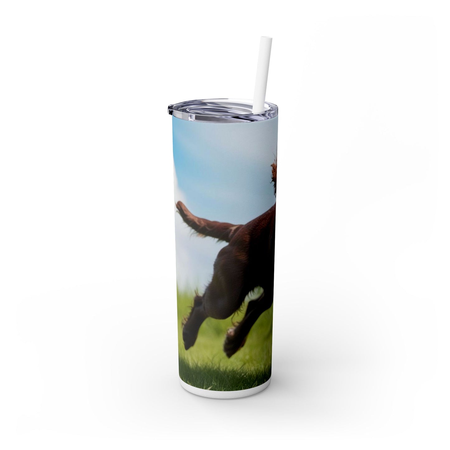 Irish Water Spaniel Tumbler with Straw, 20oz