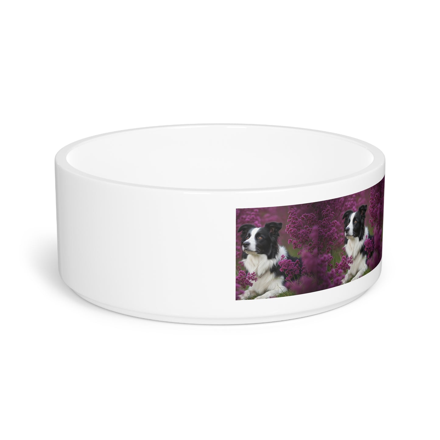 Border Collie Pet Bowl