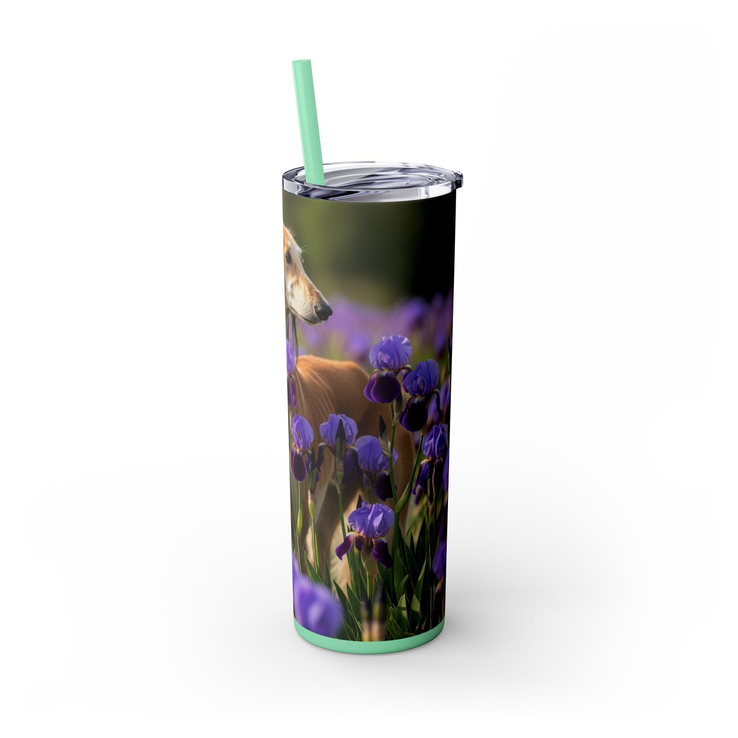 Saluki Tumbler with Straw, 20oz