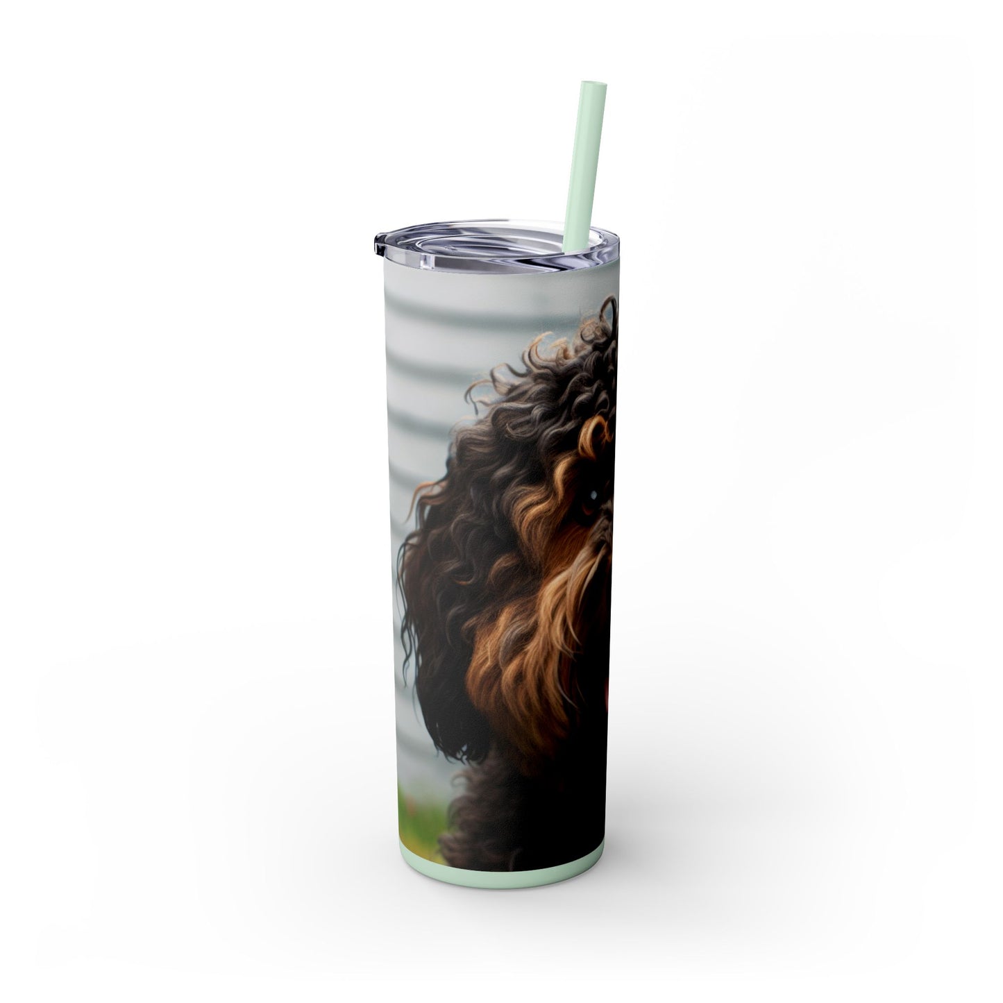 Barbet Tumbler with Straw, 20oz
