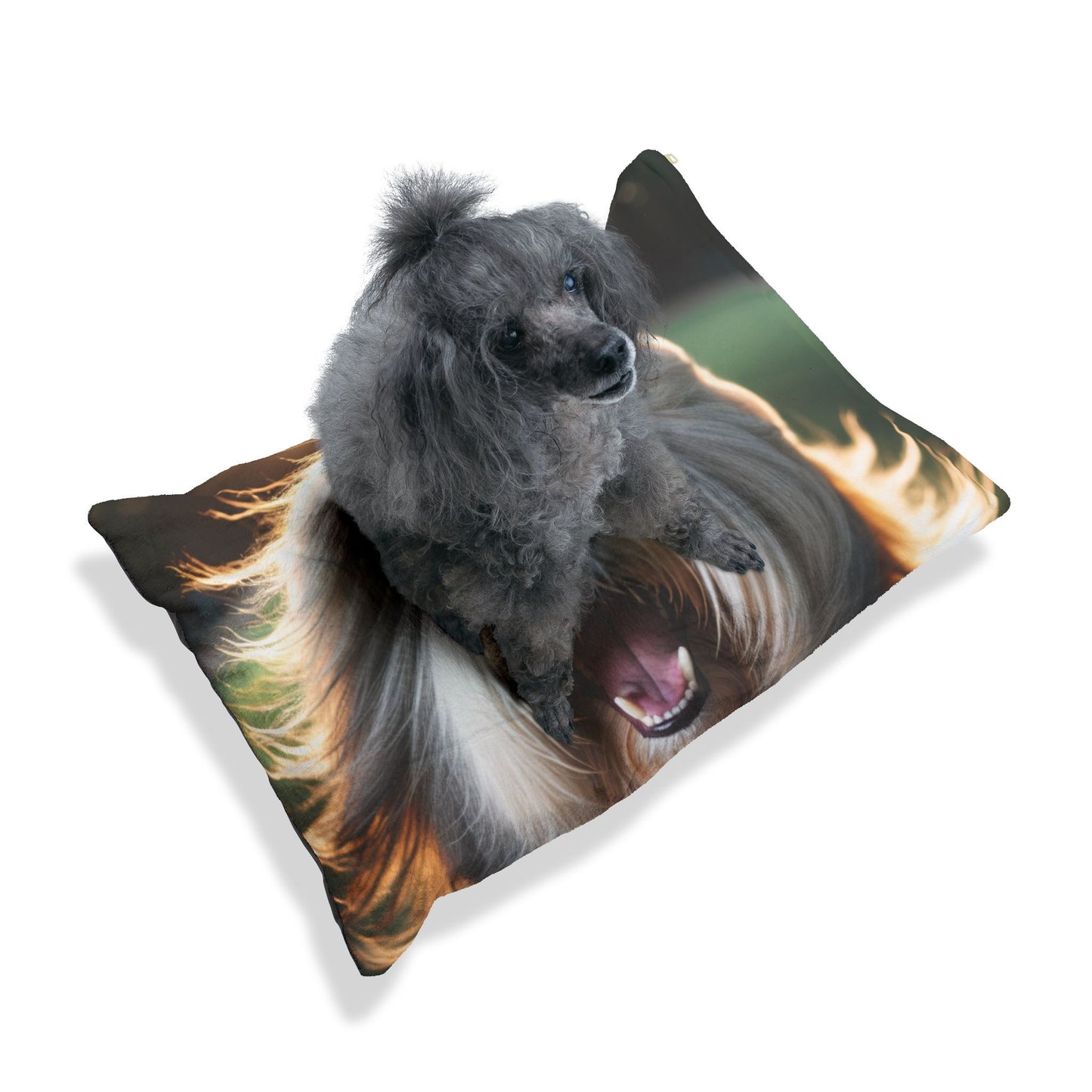 Bearded Collie Pet Bed