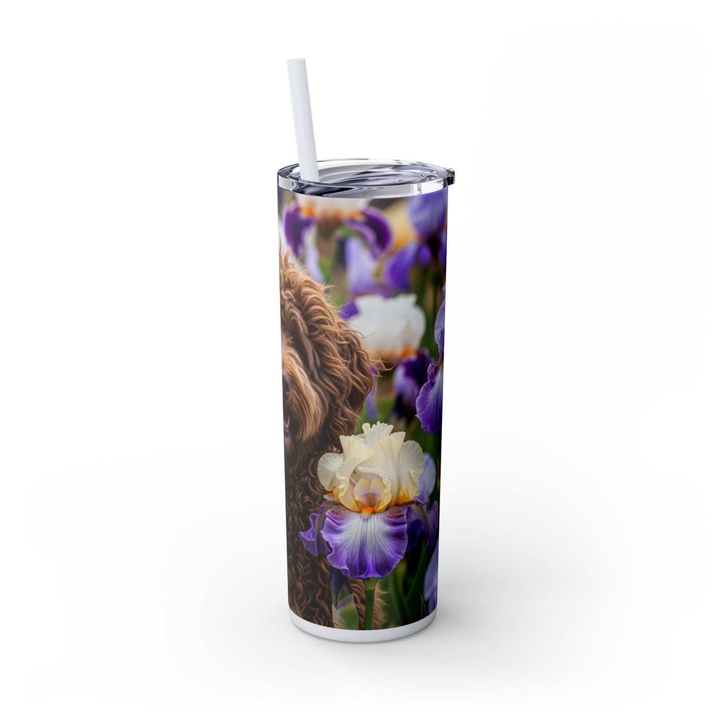 Barbet Skinny Tumbler with Straw, 20oz
