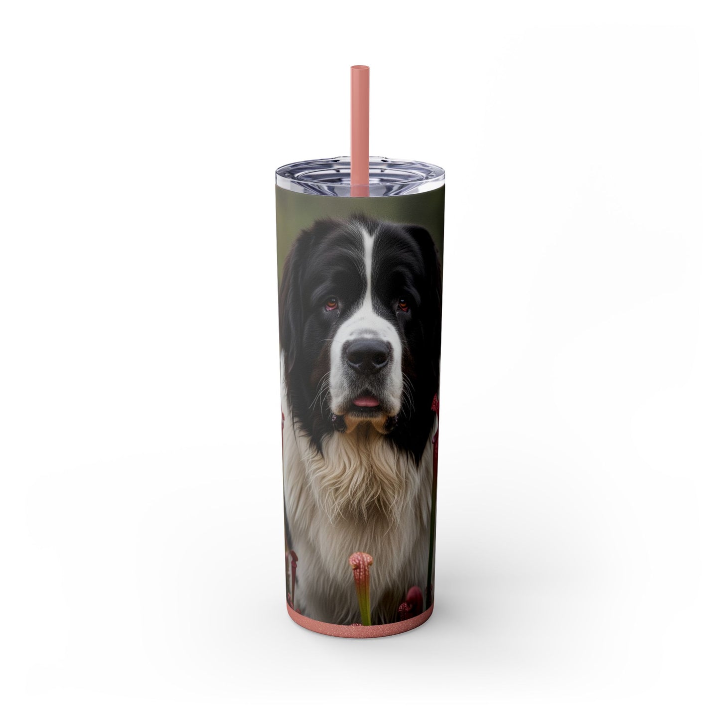 Landseer Tumbler with Straw, 20oz