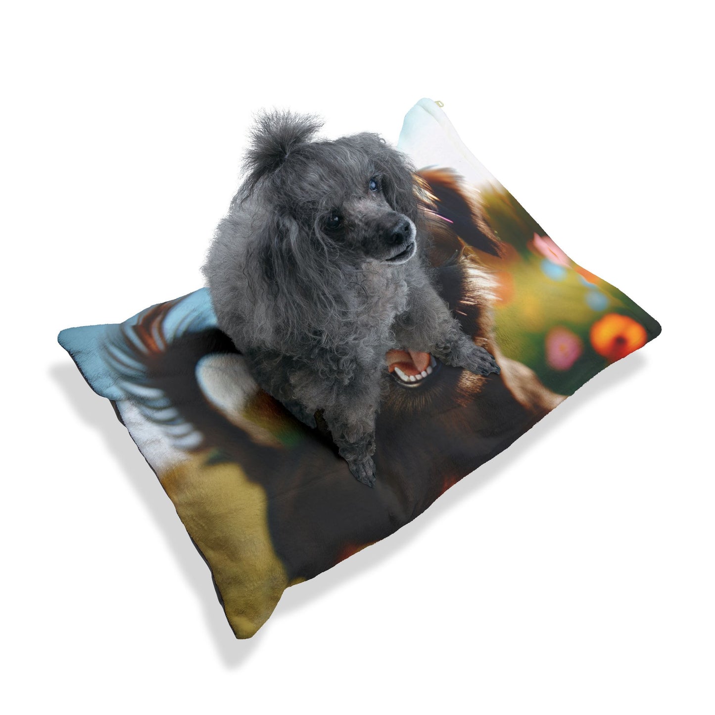 Griffon Bruxellois Pet Bed