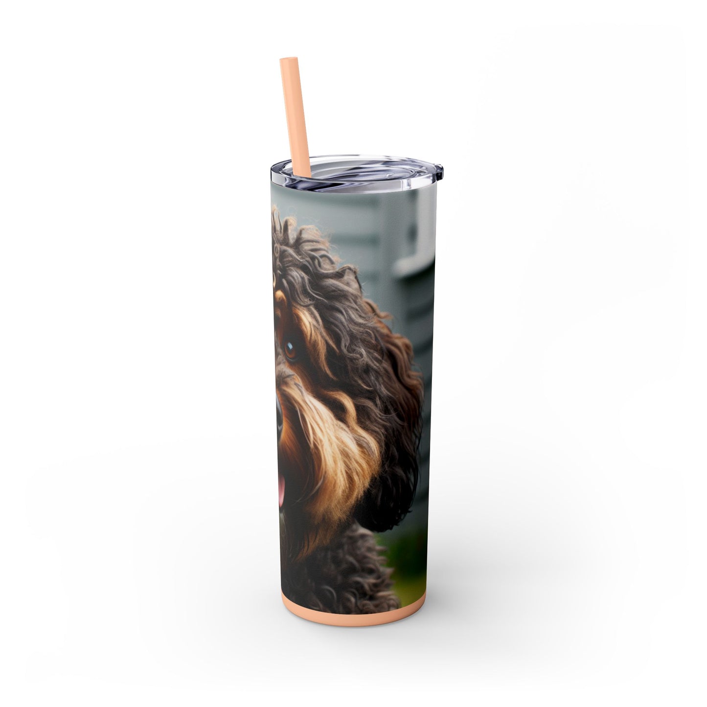 Barbet Tumbler with Straw, 20oz