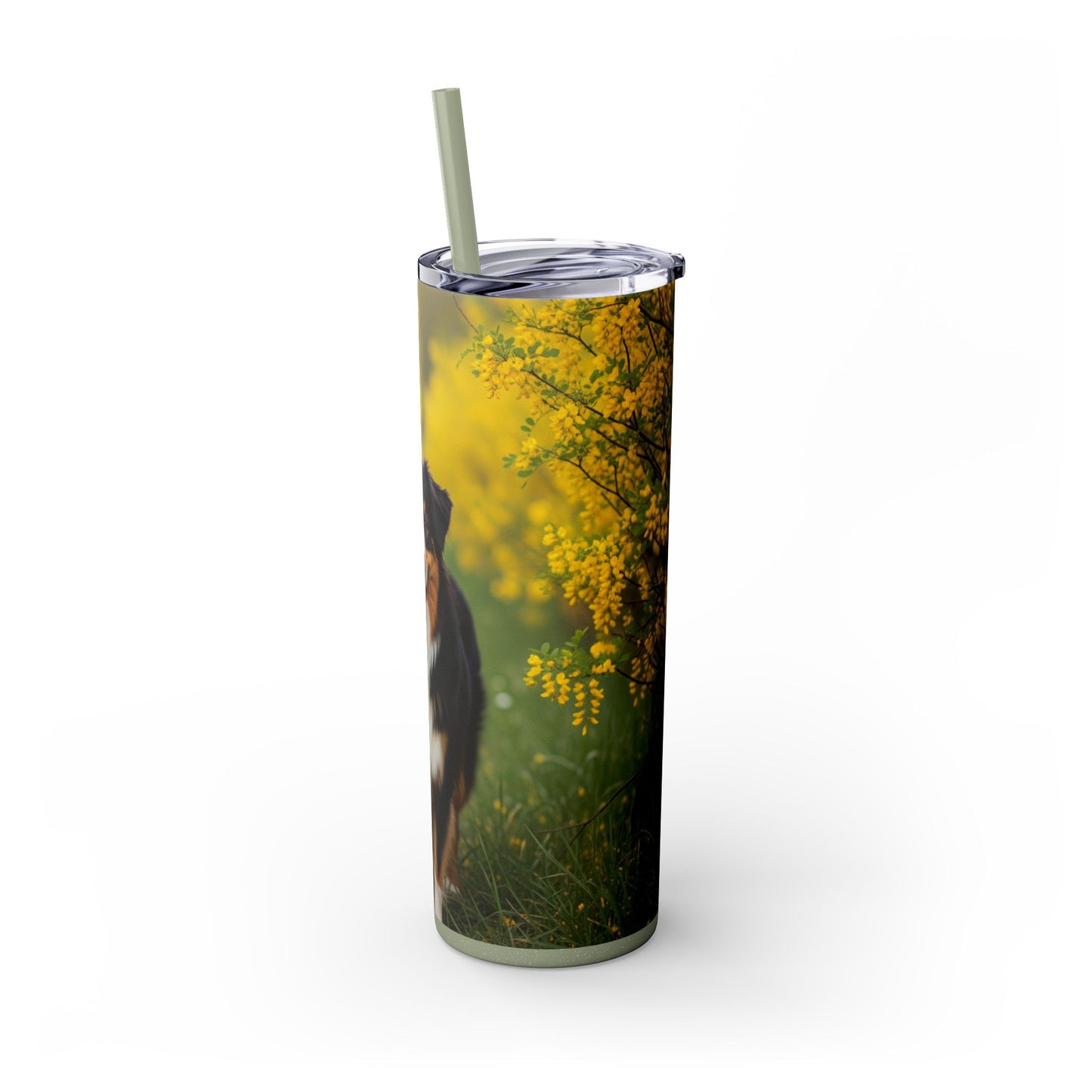 Australian Shepherd Skinny Tumbler with Straw, 20oz