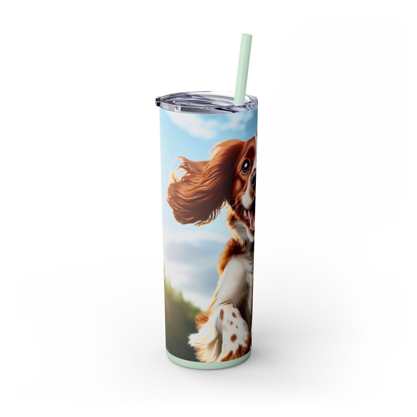 Welsh Springer Spaniel Skinny Tumbler with Straw, 20oz