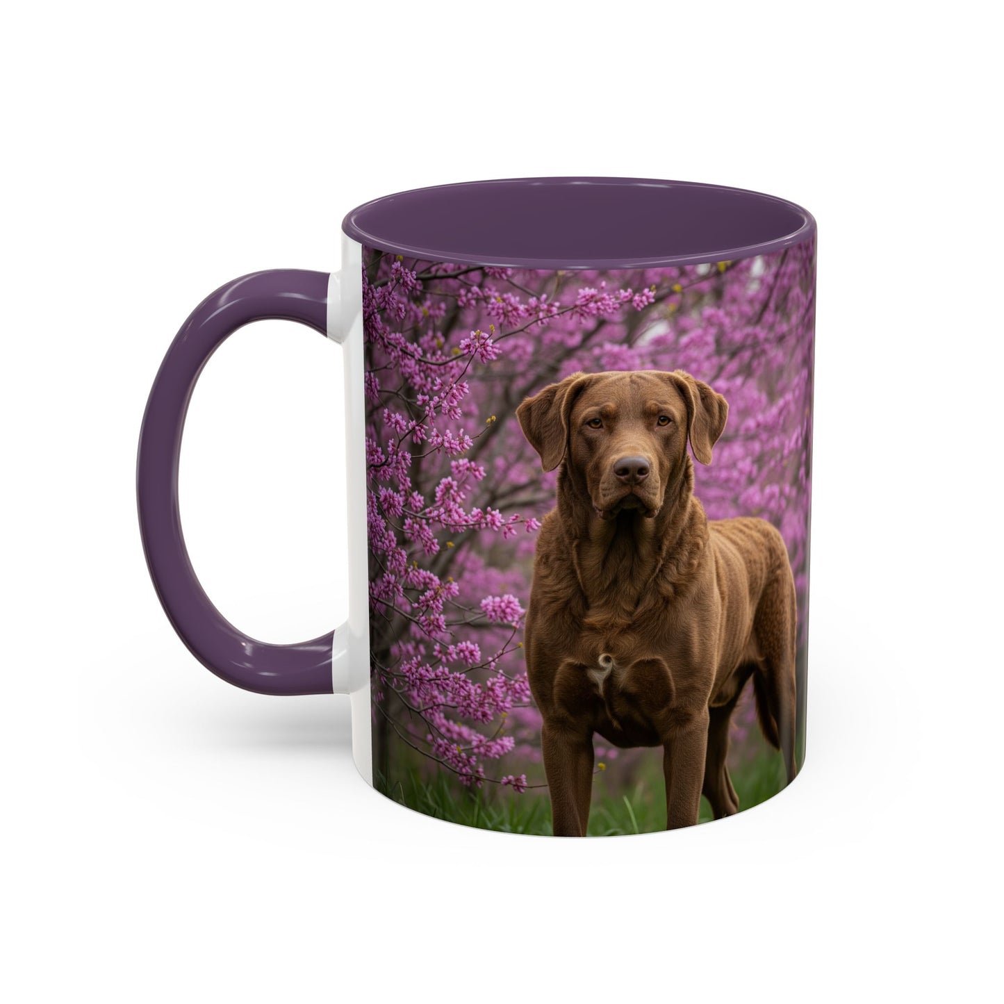 Chesapeake Bay Retriever Accent Coffee Mug - Perfect Gift for Dog Lovers