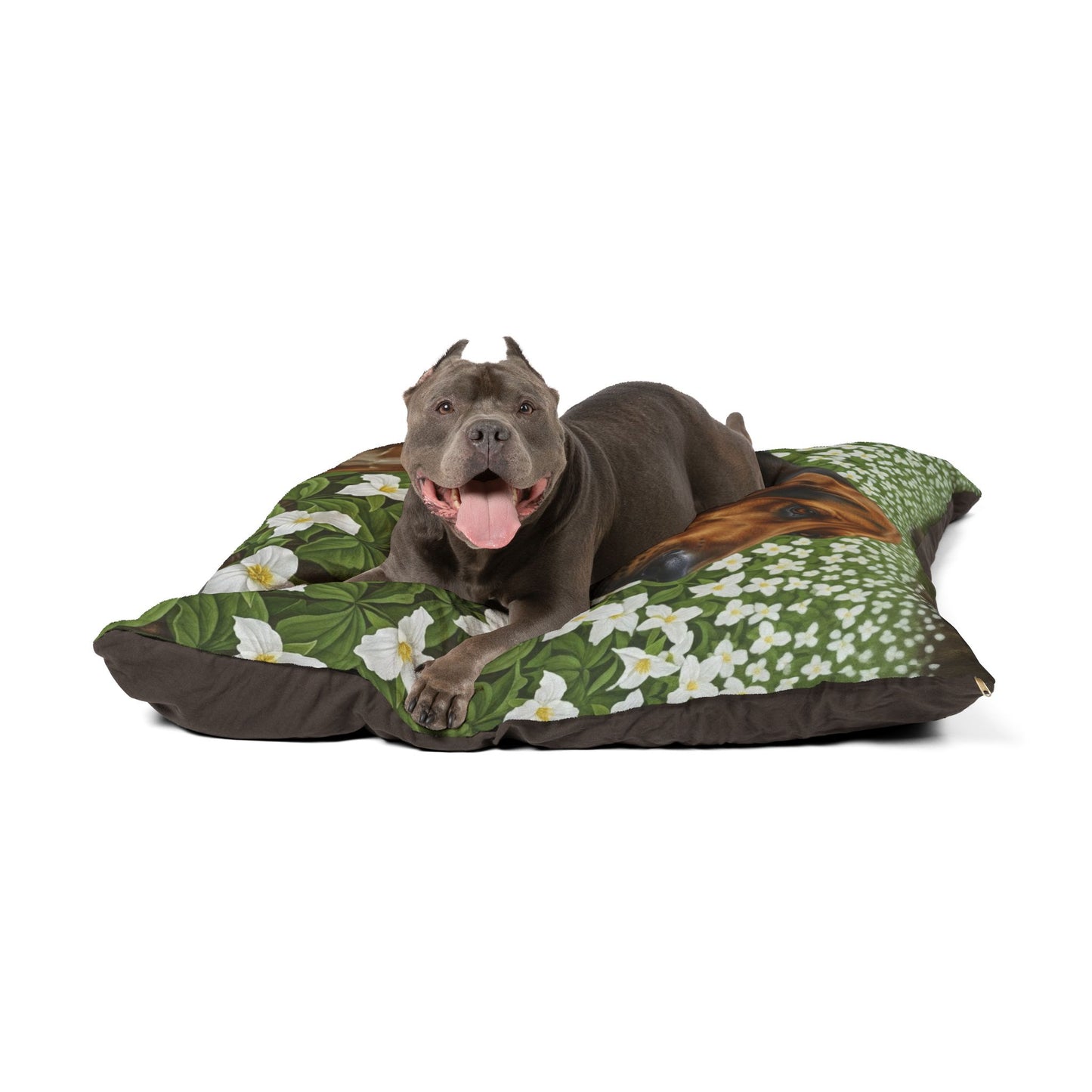 Treeing Walker Coonhound Pet Bed