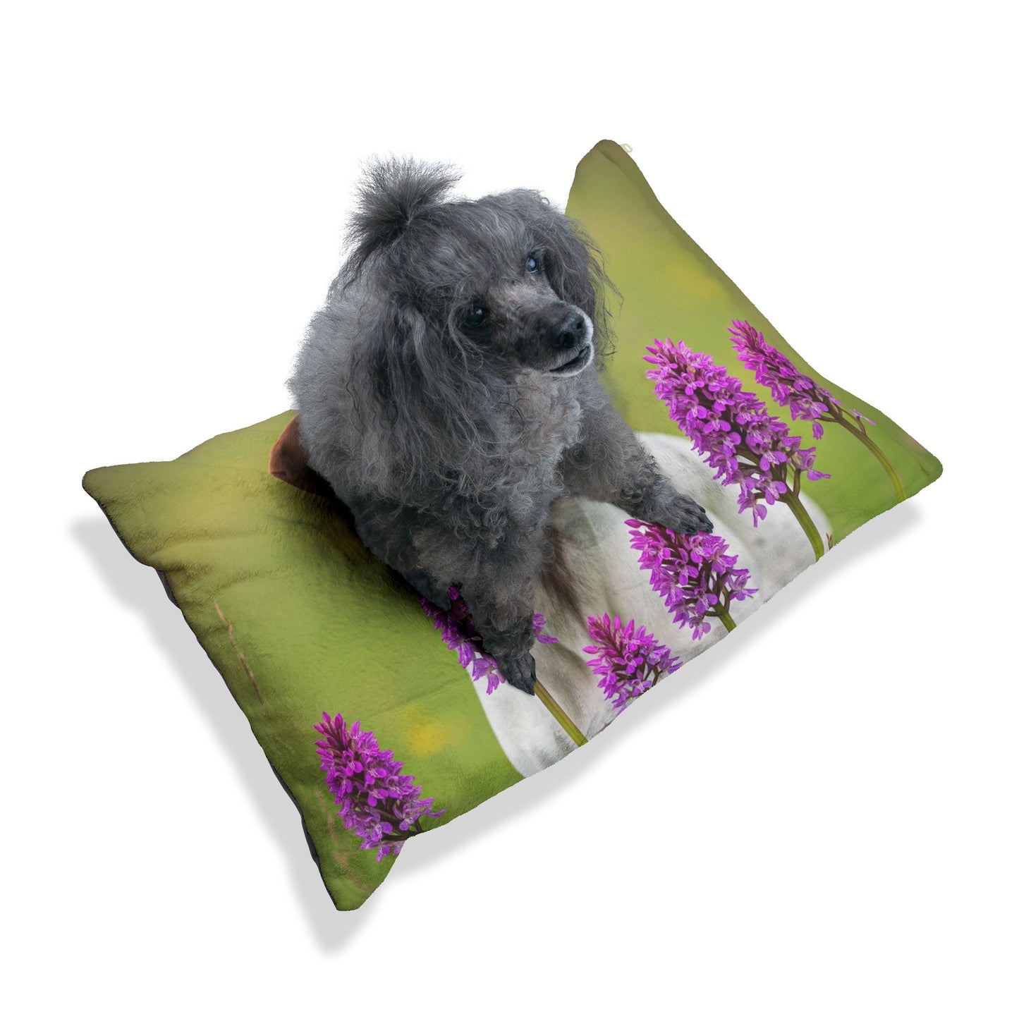 Pointer Pet Bed