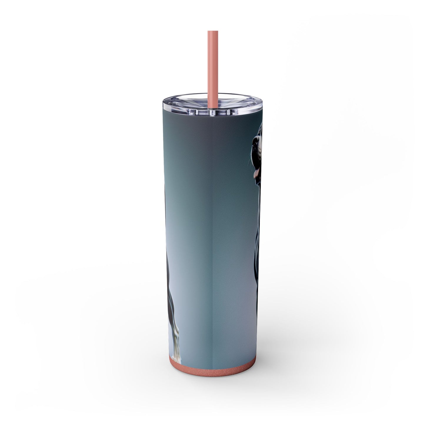 Gull Dong Tumbler with Straw, 20oz
