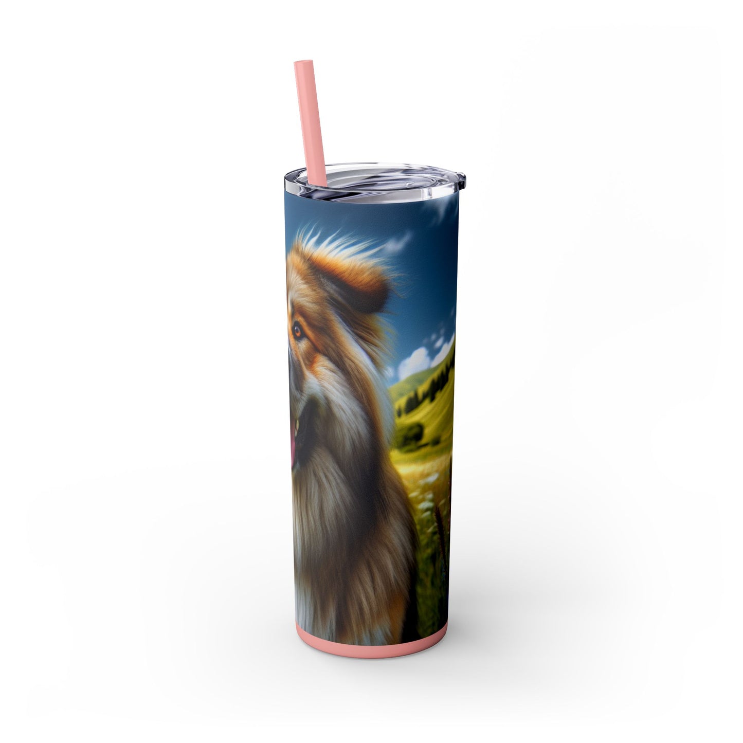Bakharwal Tumbler with Straw, 20oz