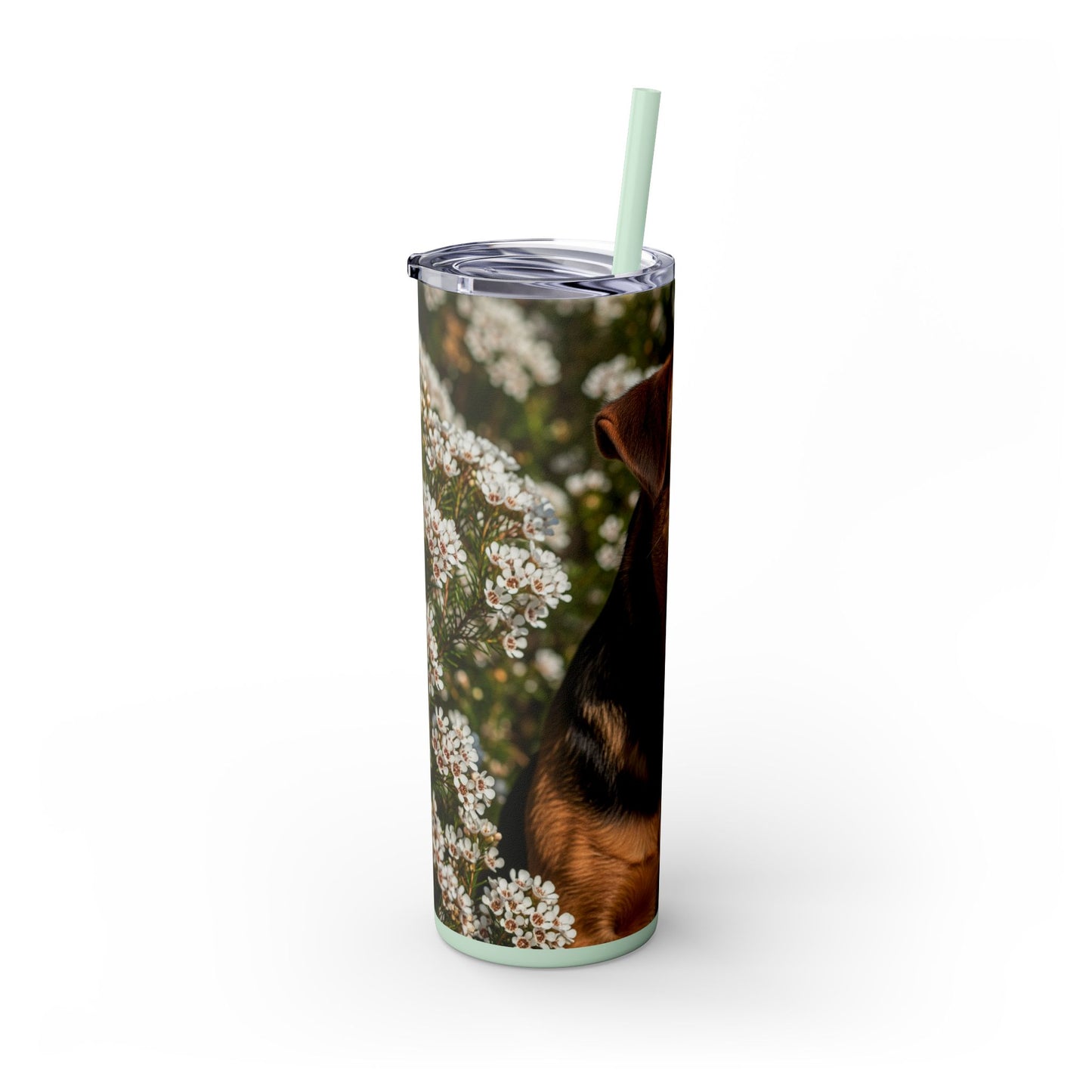 Tenterfield Terrier Skinny Tumbler with Straw, 20oz