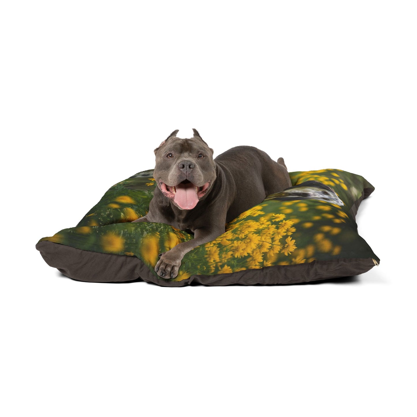 English Setter Pet Bed