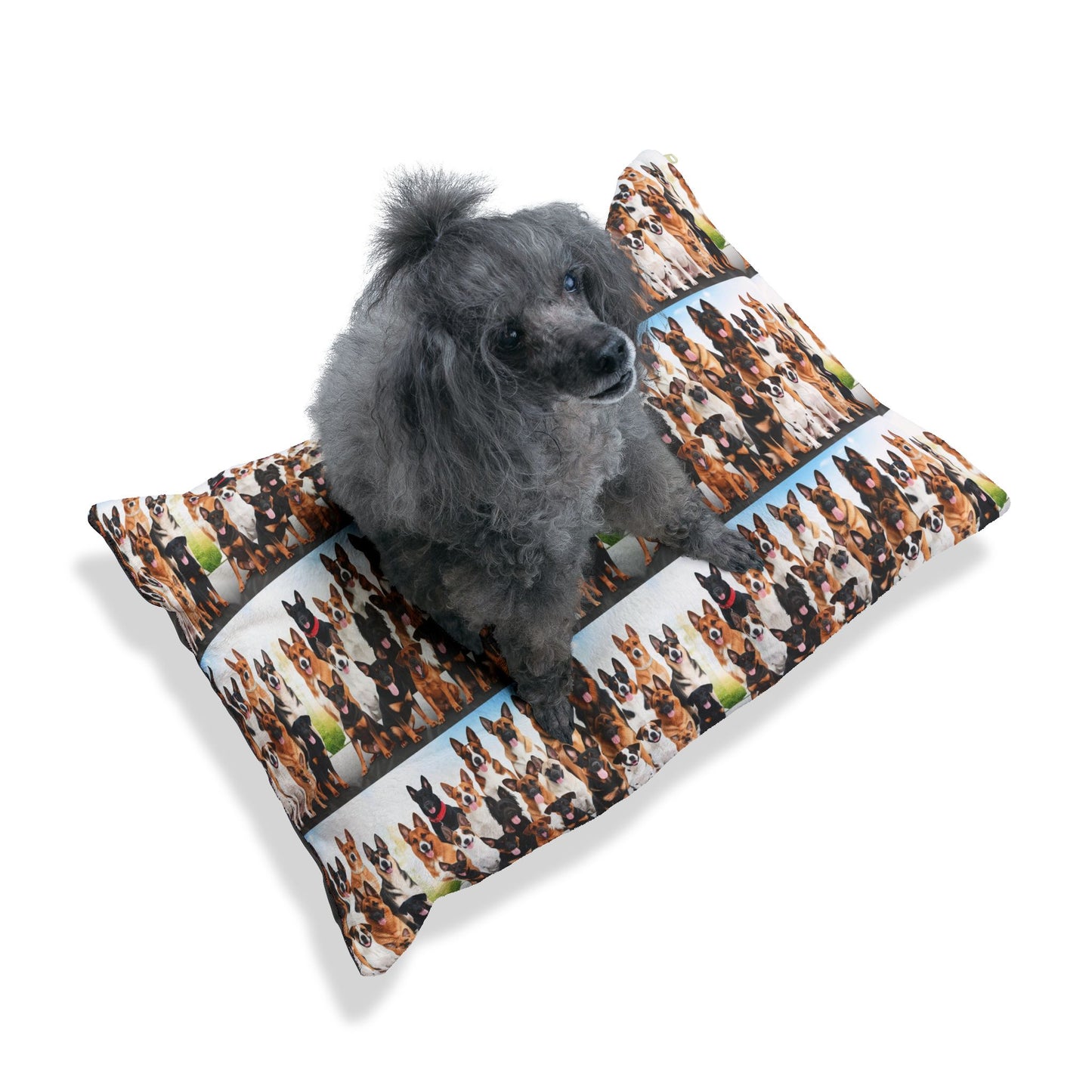Beste Hunde Pet Bed