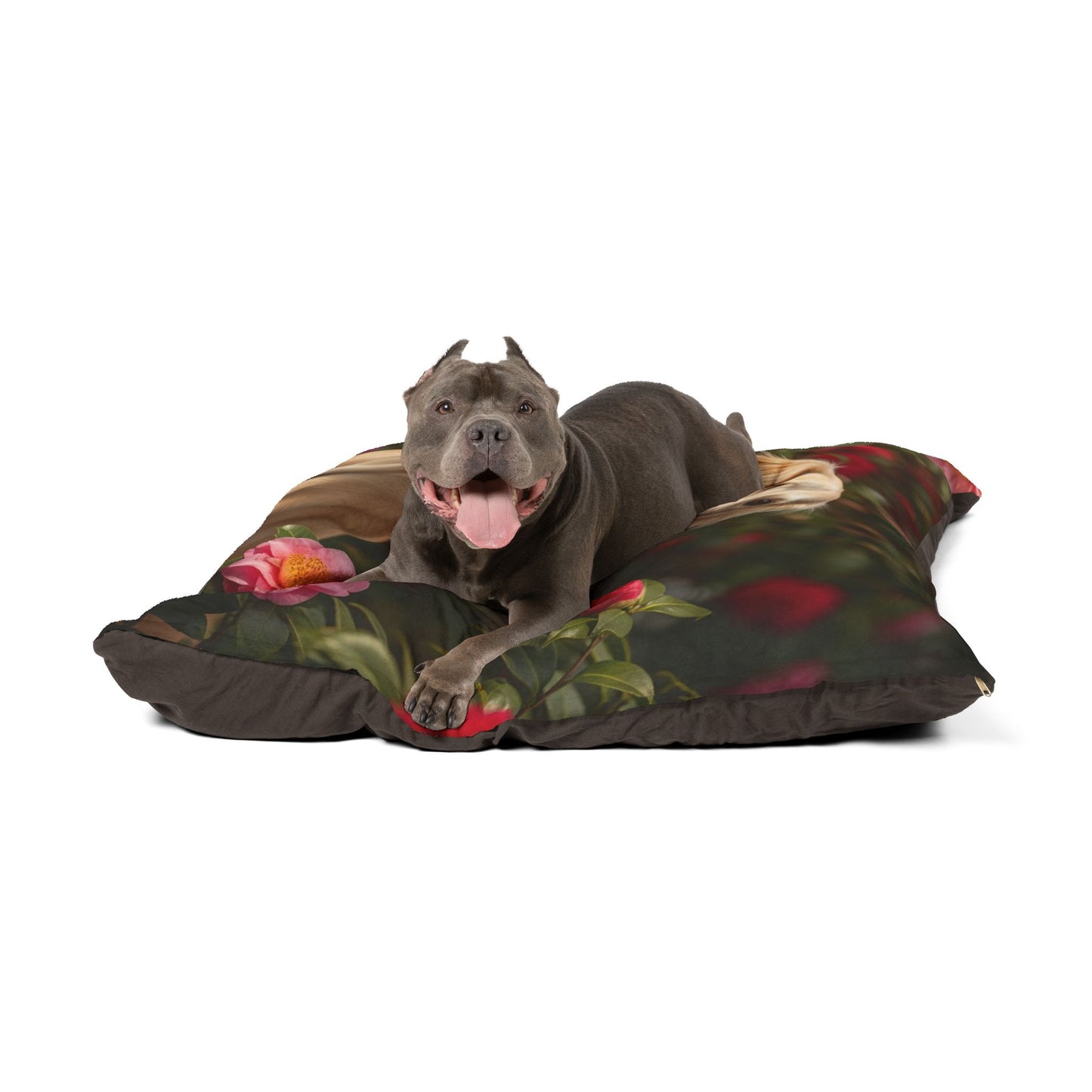 Chinese Saluki Pet Bed