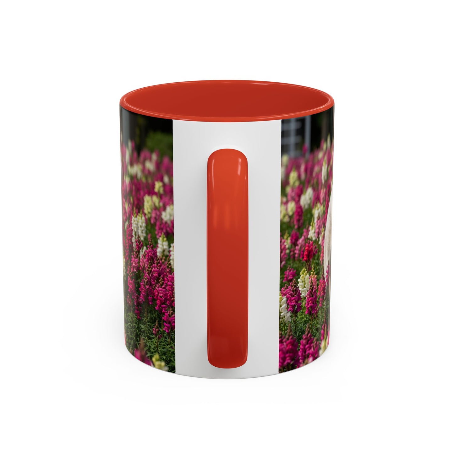 Estrela Mountain Dog Accent Coffee Mug - Perfect Gift for Dog Lovers