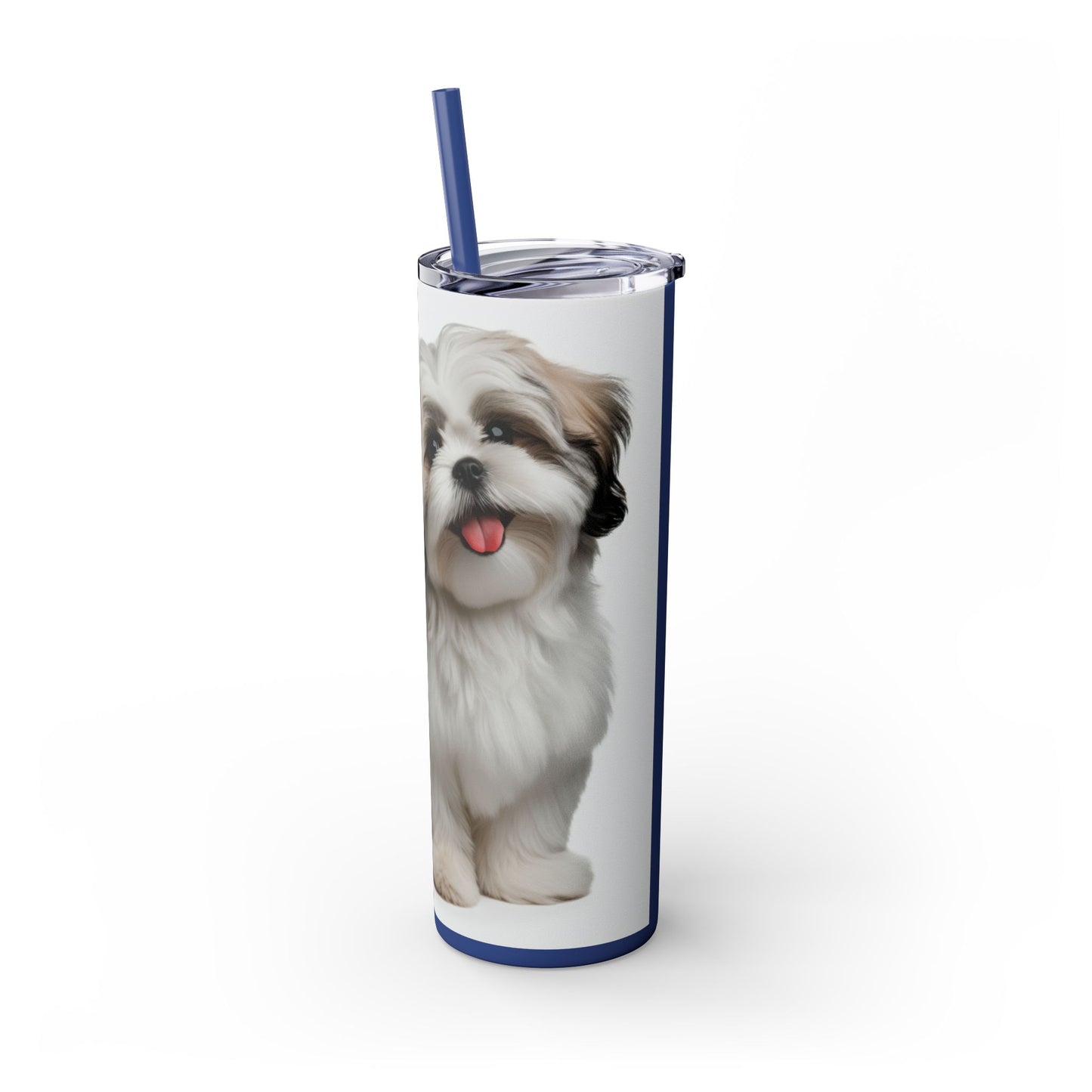 Shihchon Tumbler with Straw, 20oz