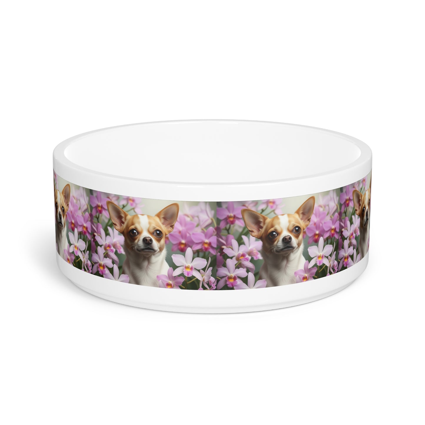 Chihuahua Pet Bowl