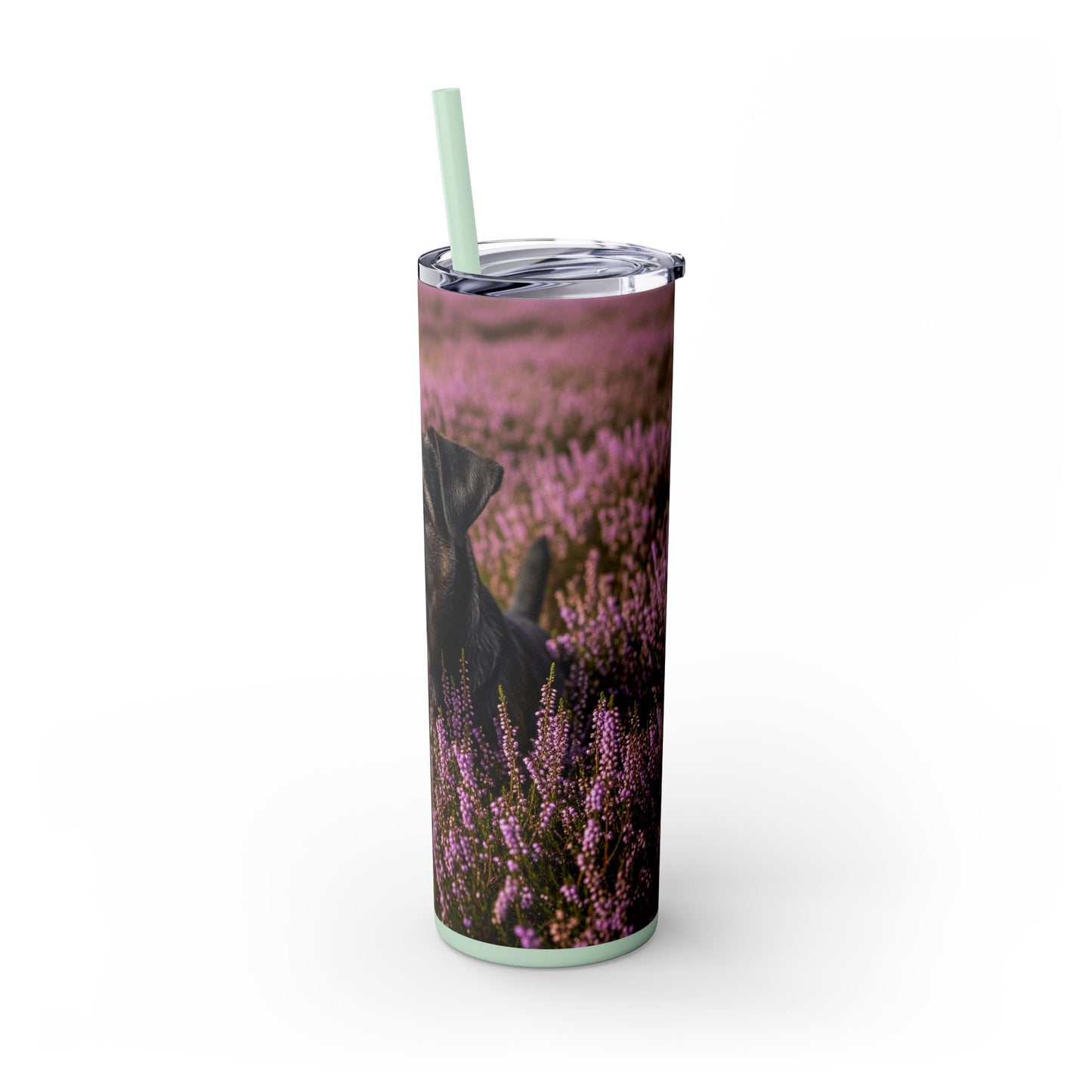 Glen of Imaal Terrier Skinny Tumbler with Straw, 20oz