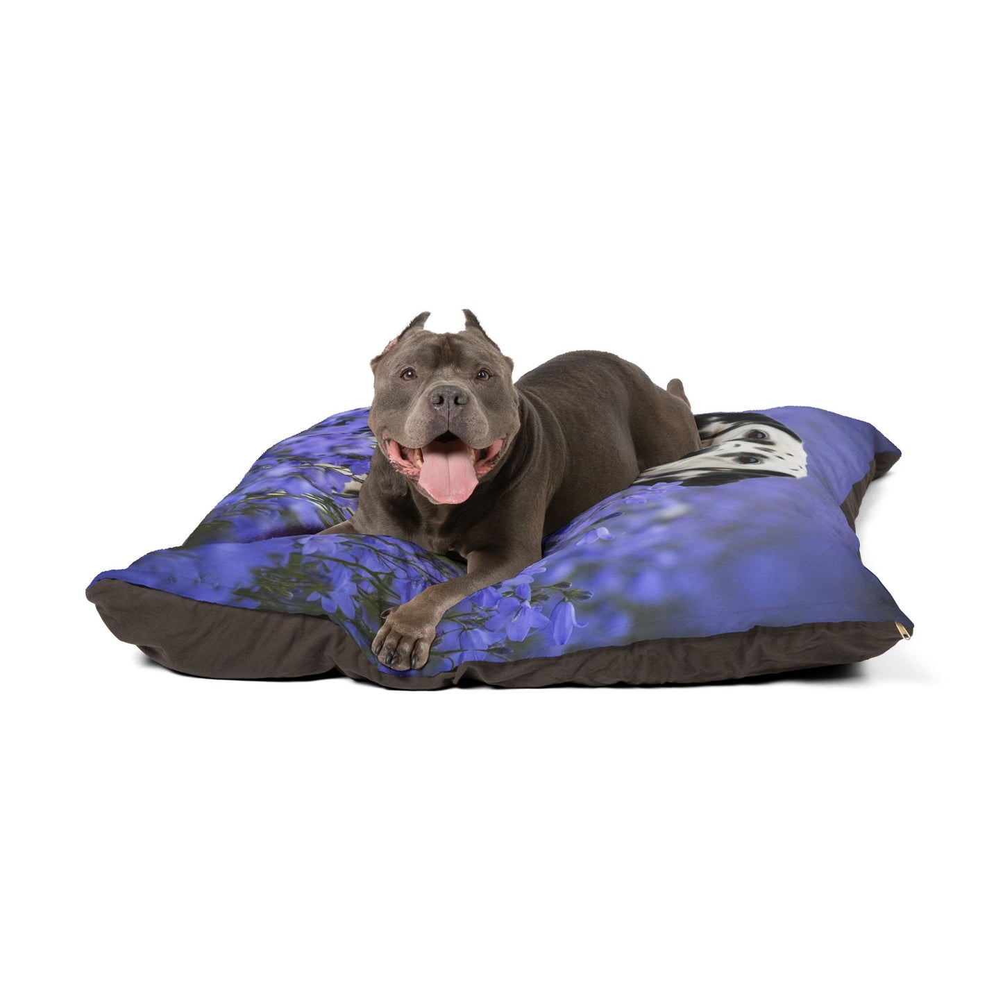 Dalmatian Pet Bed