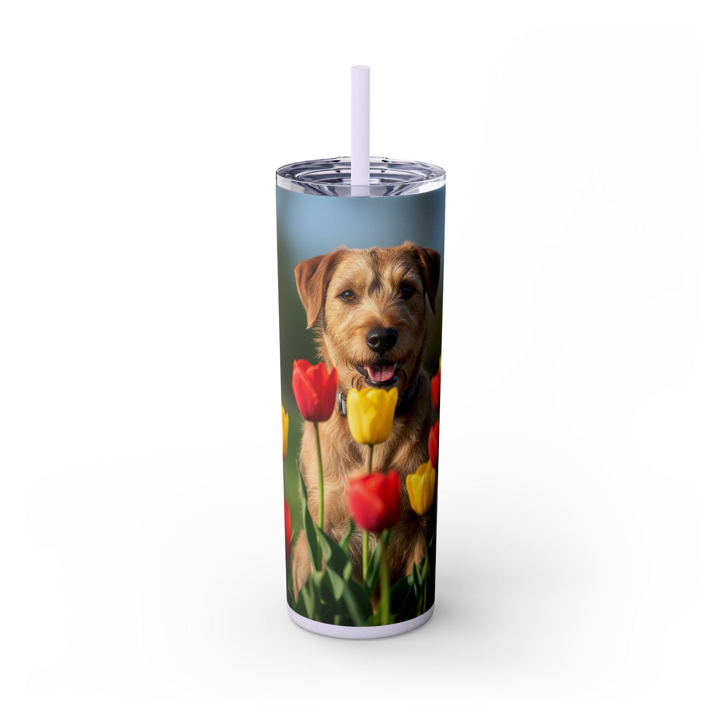 Pumi Skinny Tumbler with Straw, 20oz