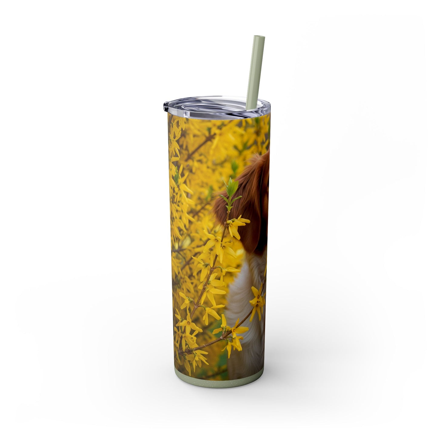 Brittany Dog Tumbler with Straw, 20oz