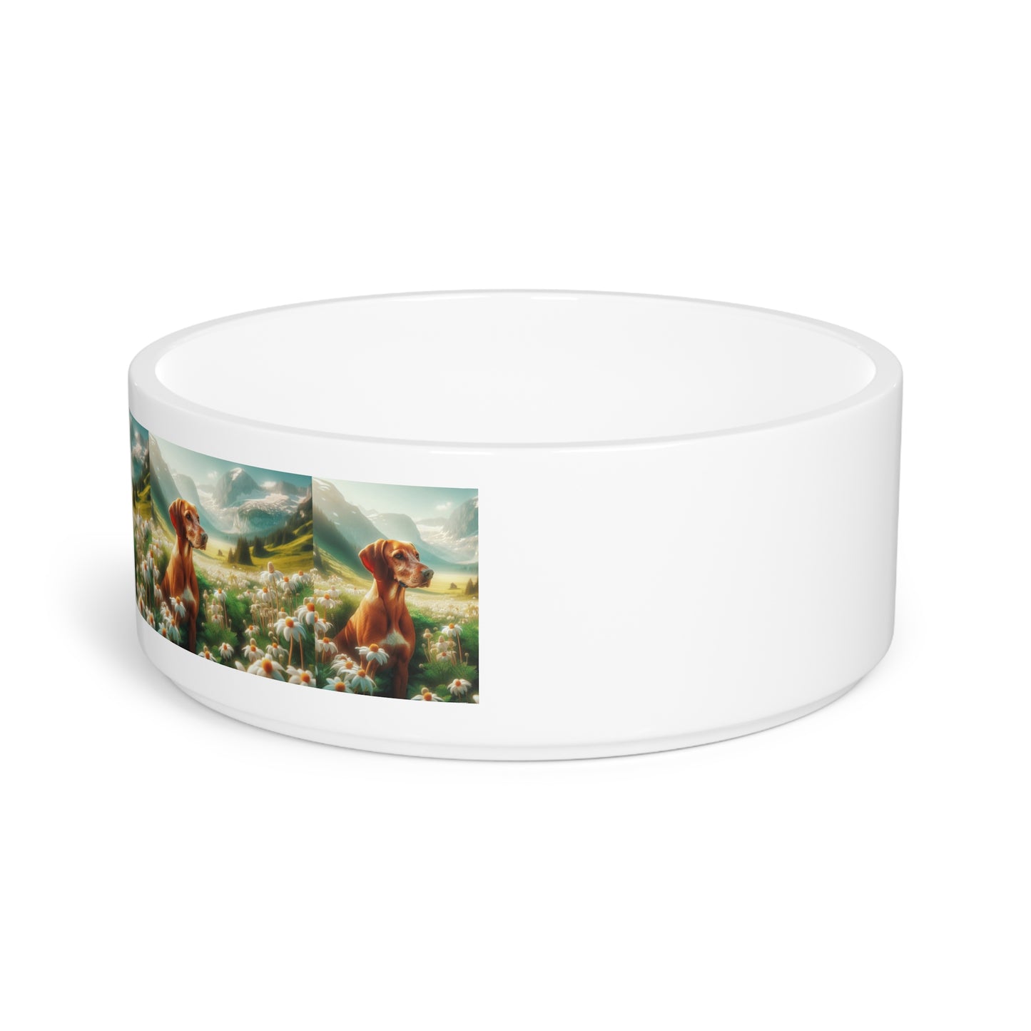 Bavarian Mountain Scent Hound Pet Bowl