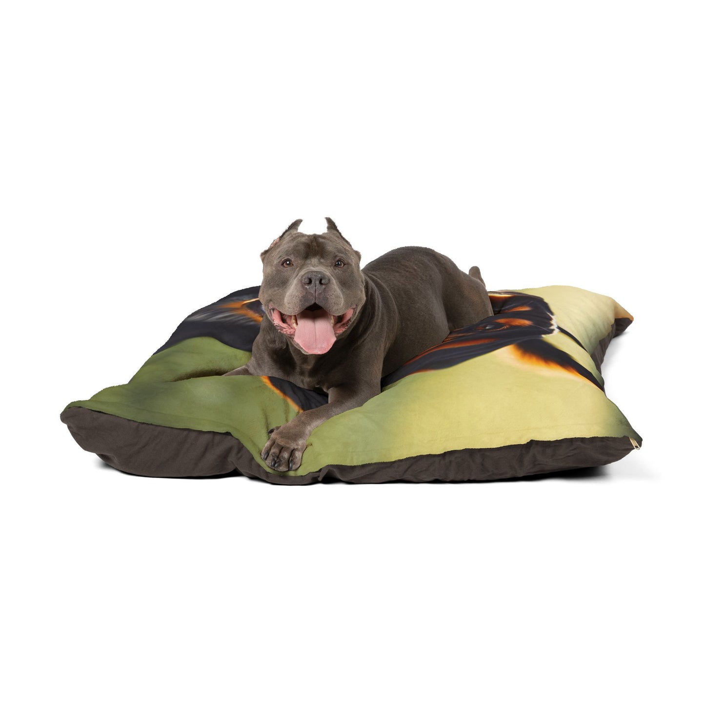 Black and Tan Coonhound Pet Bed