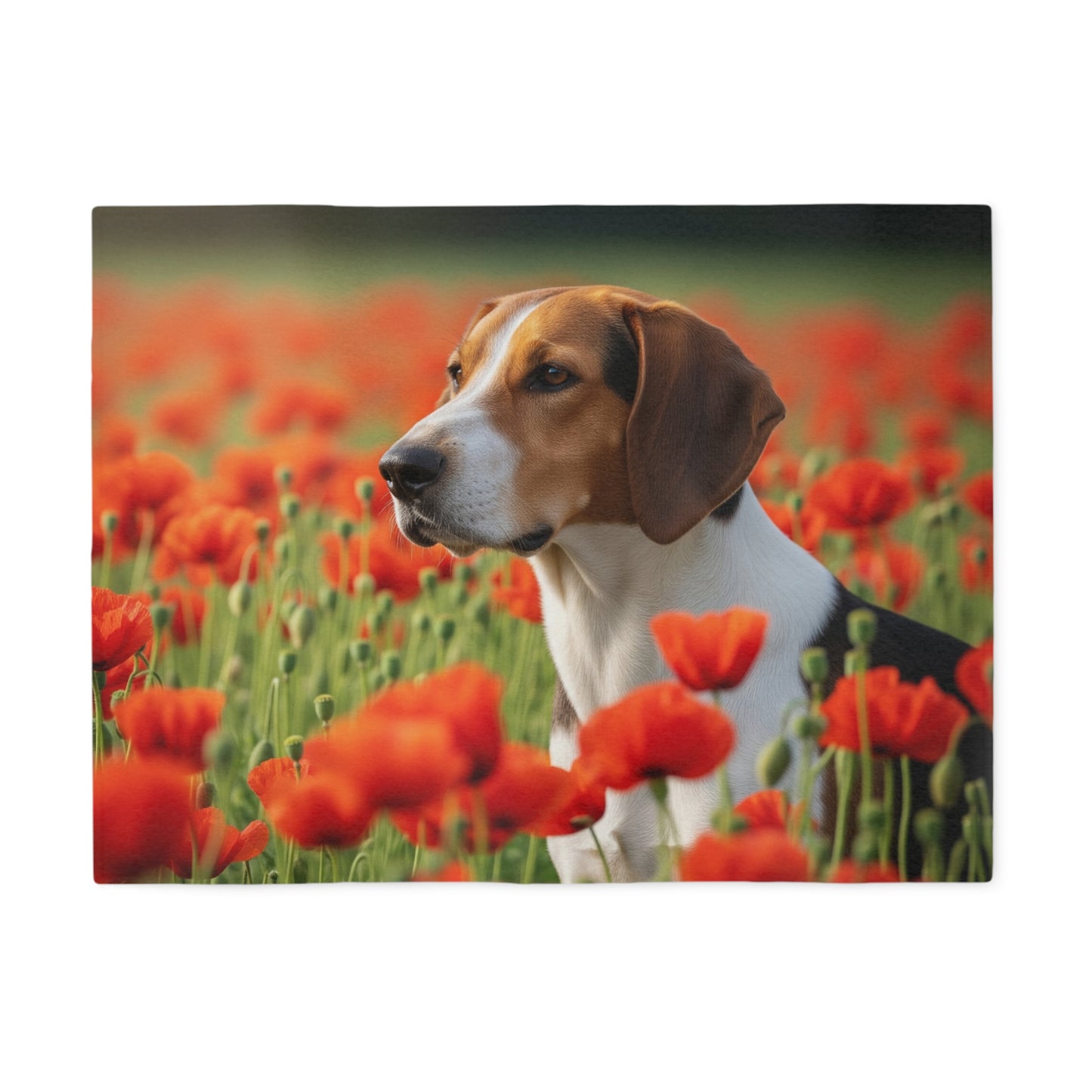 Foxhound Sweatshirt Blanket