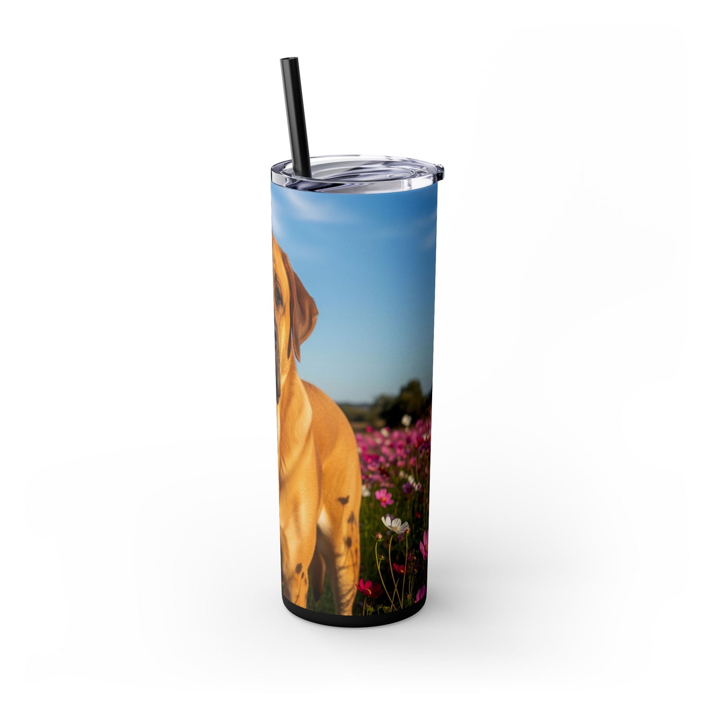 Spanish Mastiff Skinny Tumbler with Straw, 20oz