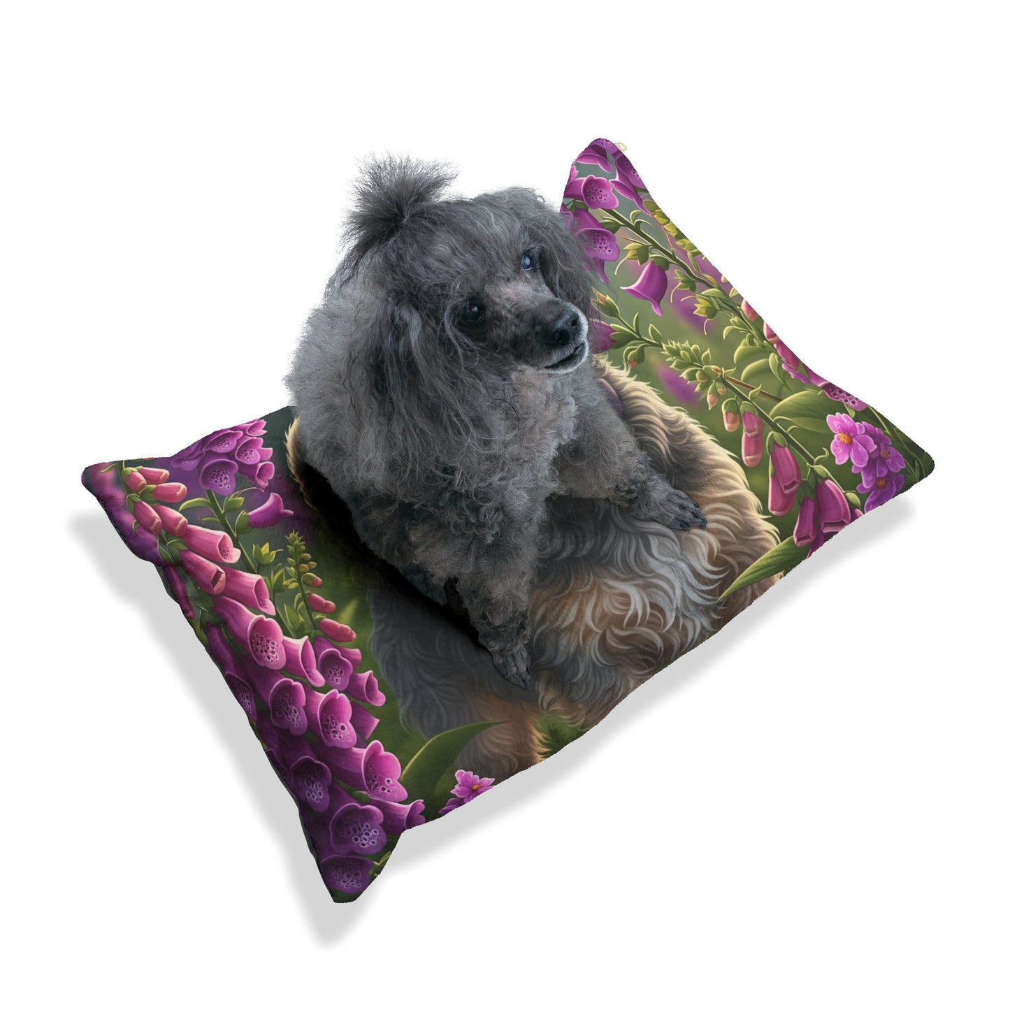 Dandie Dinmont Terrier Pet Bed