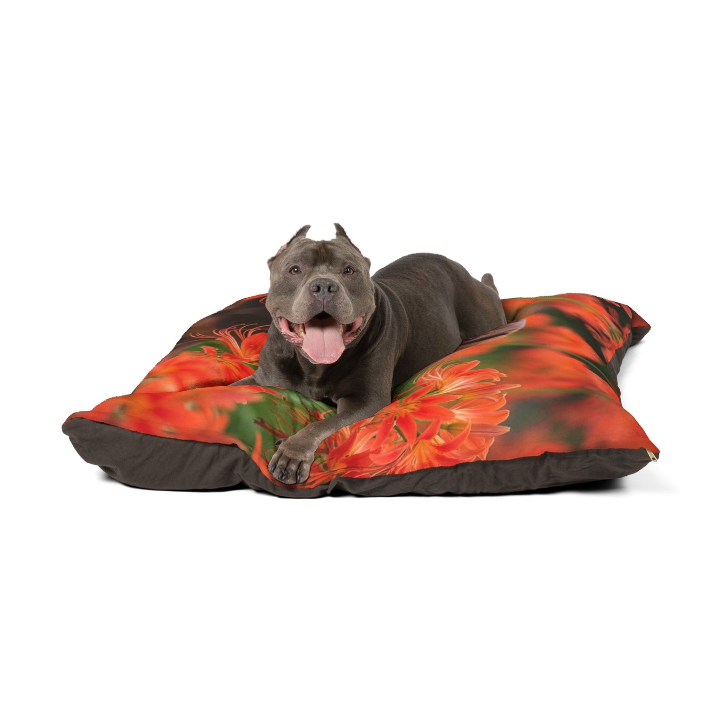 Dachshund Pet Bed