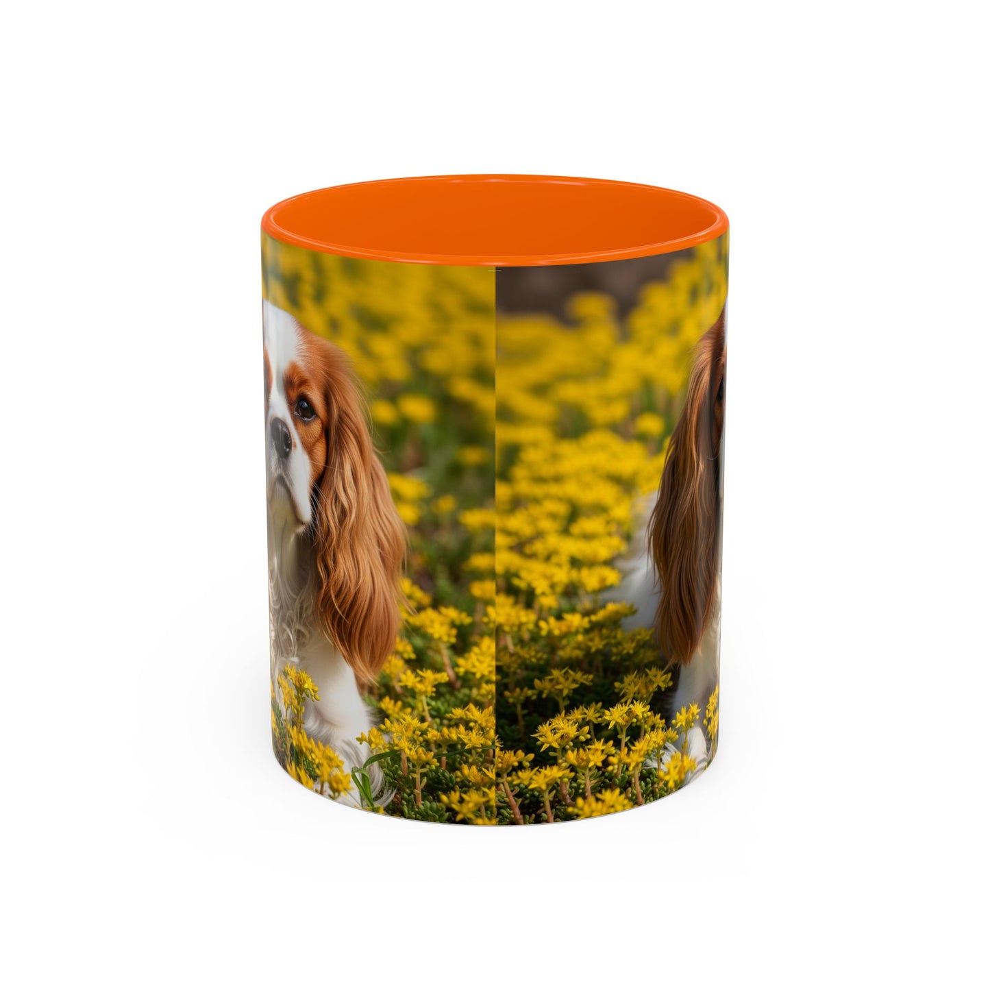 Cavalier King Charles Spaniel Accent Coffee Mug - Perfect Gift for Dog Lovers