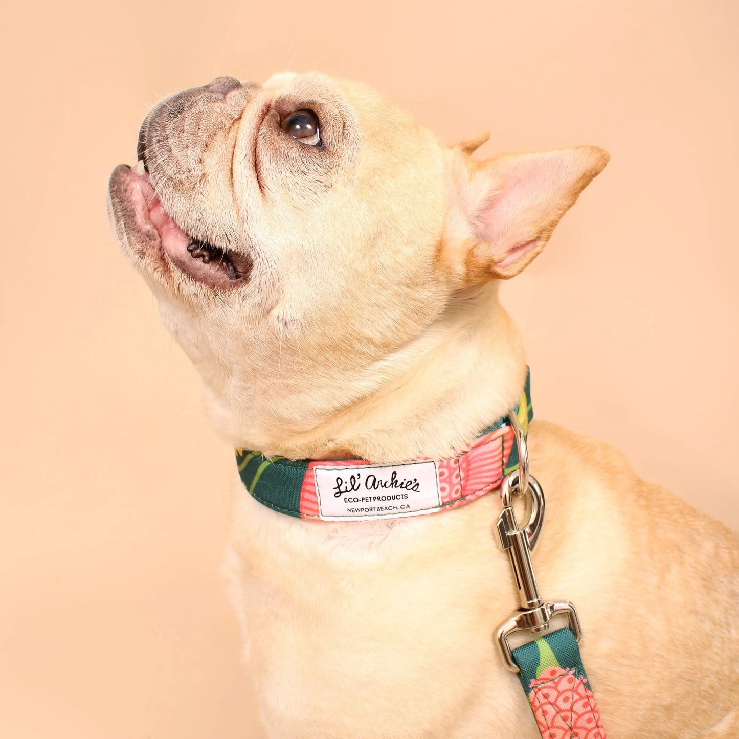 Collar para perro reciclado Eden
